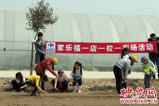 小朋友们在农场工作人员的指导下种植娃娃菜