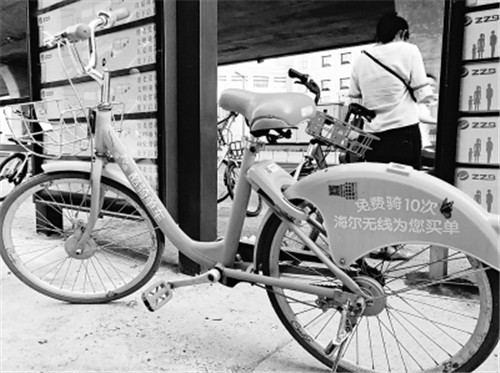 郑州街头的酷骑单车