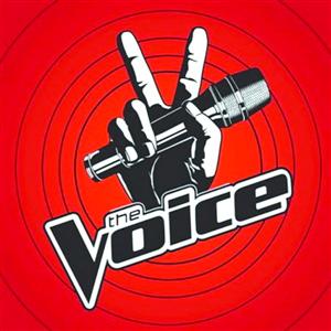 “The Voice”模式原创性遭到质疑