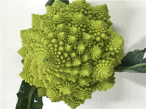 翠花,快来上宝塔菜!