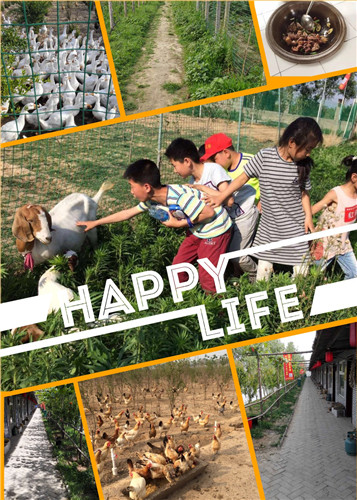那滋味农场给城里人一个乡下的家