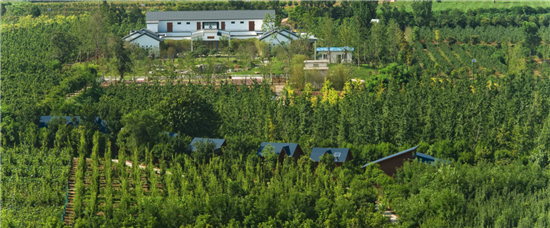 道法自然优游于心优河湾生态园