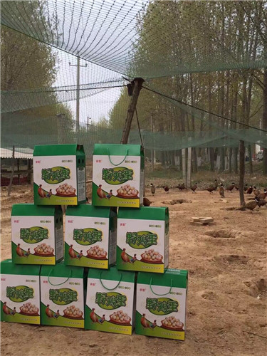 乾隆皇帝吃过都说好!还不点进来看是啥好东东