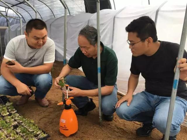 中国农科院郑州果树研究所助理李好先研究员（右一）