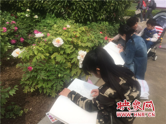 学生们在牡丹花前写生。