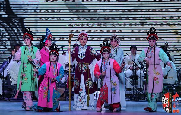 安阳市豫剧团国家二级演员徐凤表演音配像《对花枪》选段“老身家住南阳地”