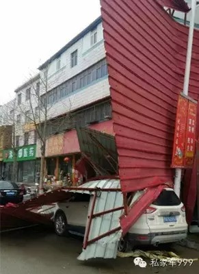 大树连根拔起 广告牌直接掀翻 郑州今天的风是