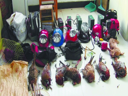 森林警方查获的部分播放机、矿灯和猎杀的野生动物等