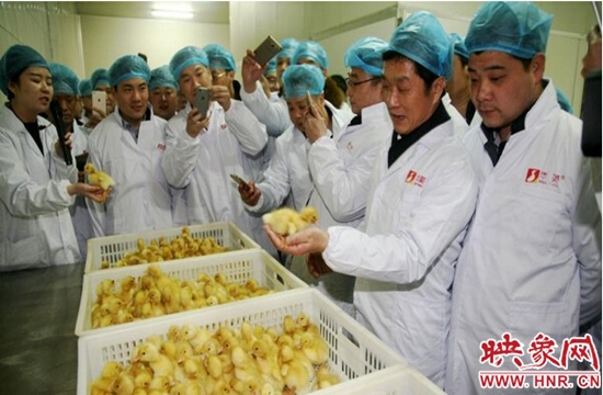 百名沪商看信阳活动圆满成功 百名沪商看信阳活动圆满成功