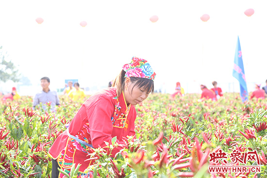 认真比赛的辣妹子