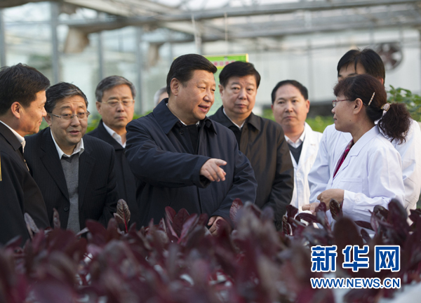  27日下午，习近平在山东省农业科学院智能化温室了解农业科技创新情况。