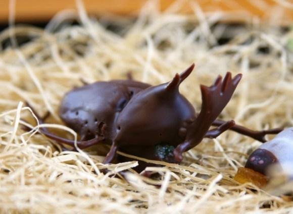 日糖果店推出重口味幼虫造型巧克力