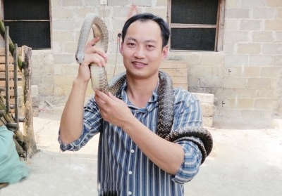 李羽峰正在展示基地养殖的蛇