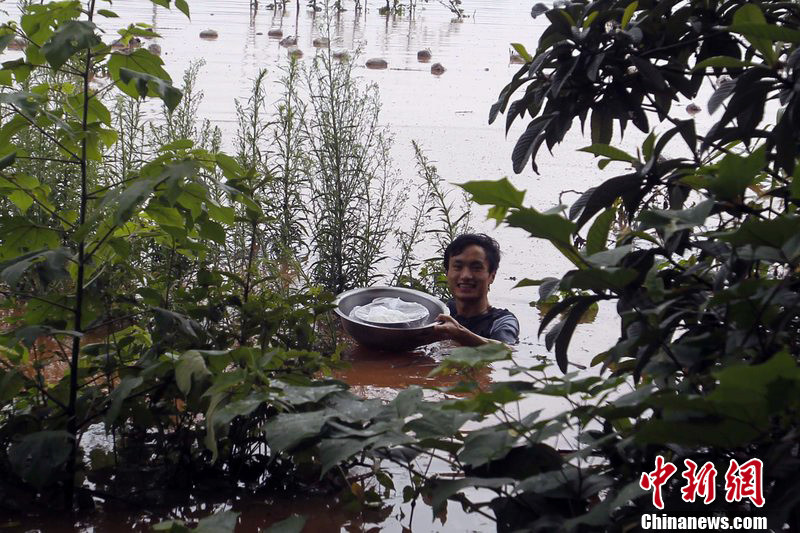 重庆孕妇被困孤岛挨饿 丈夫冒险游泳送口粮