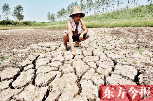 2009年至今“水乡”信阳连续5年发生干旱