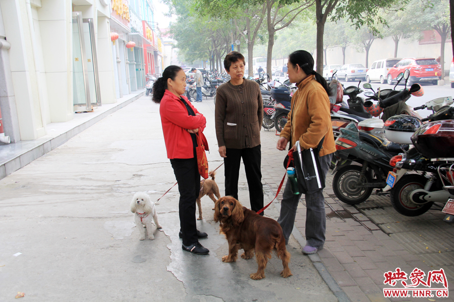 办过手续的市民在一起聊天