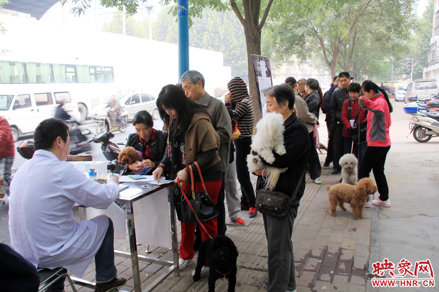 早上8点多，郑州城市养犬金水区办证点已经排起了长队