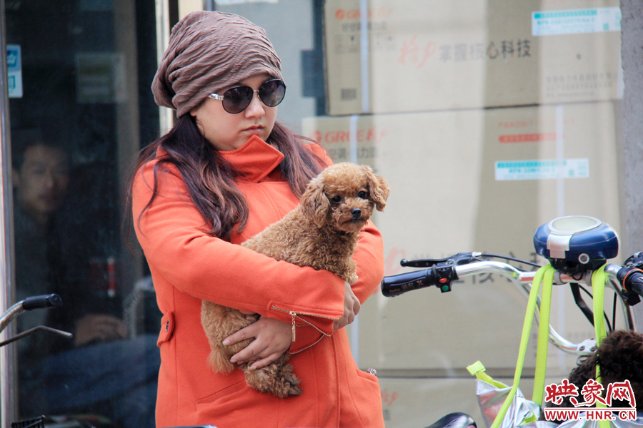 一名市民在抱着爱犬等待办证