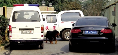 警察与藏獒对峙