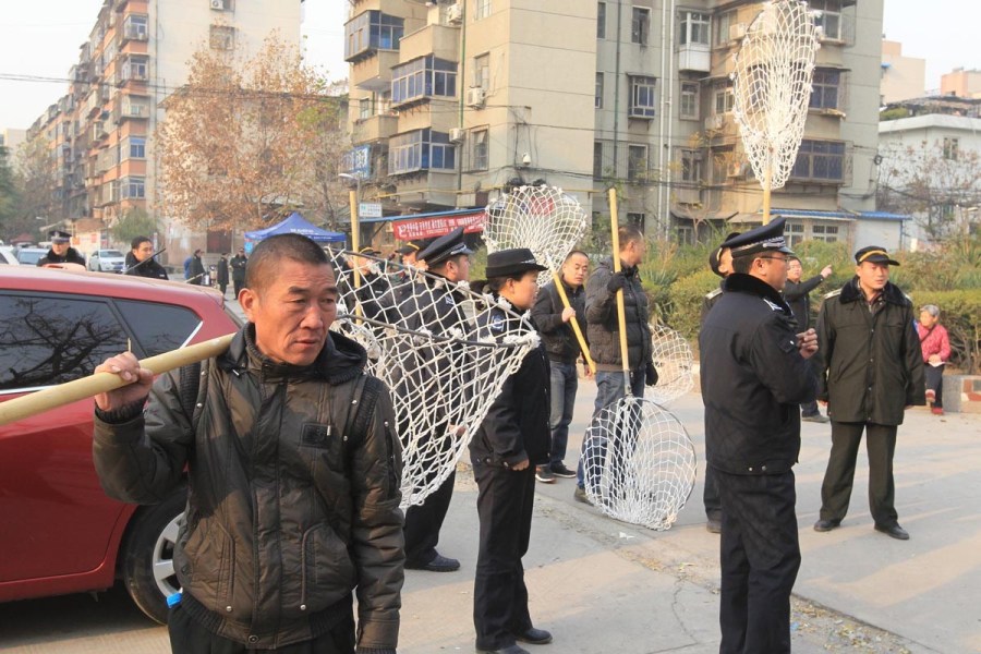 大家四处找狗。