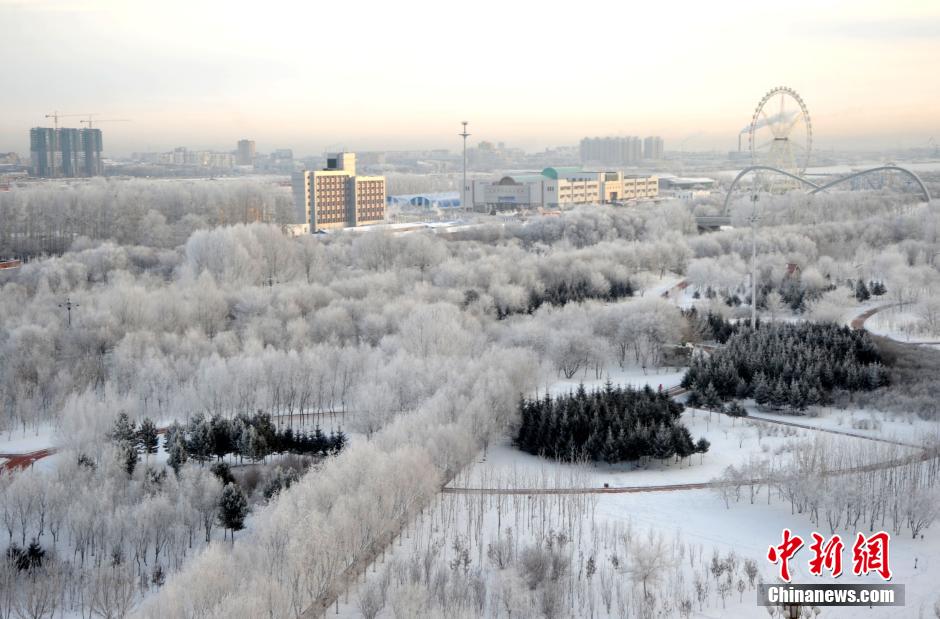 12月10日,受降温天气影响,黑河市黑龙江江畔出现绵延数公里的雾凇景观。