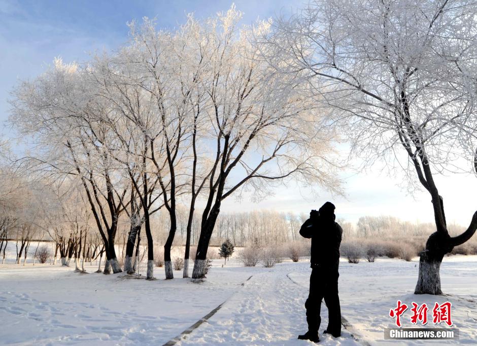 12月10日,受降温天气影响,黑河市黑龙江江畔出现绵延数公里的雾凇景观。