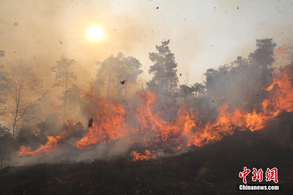 贵州福泉山火逼近民房 火势已得到控制