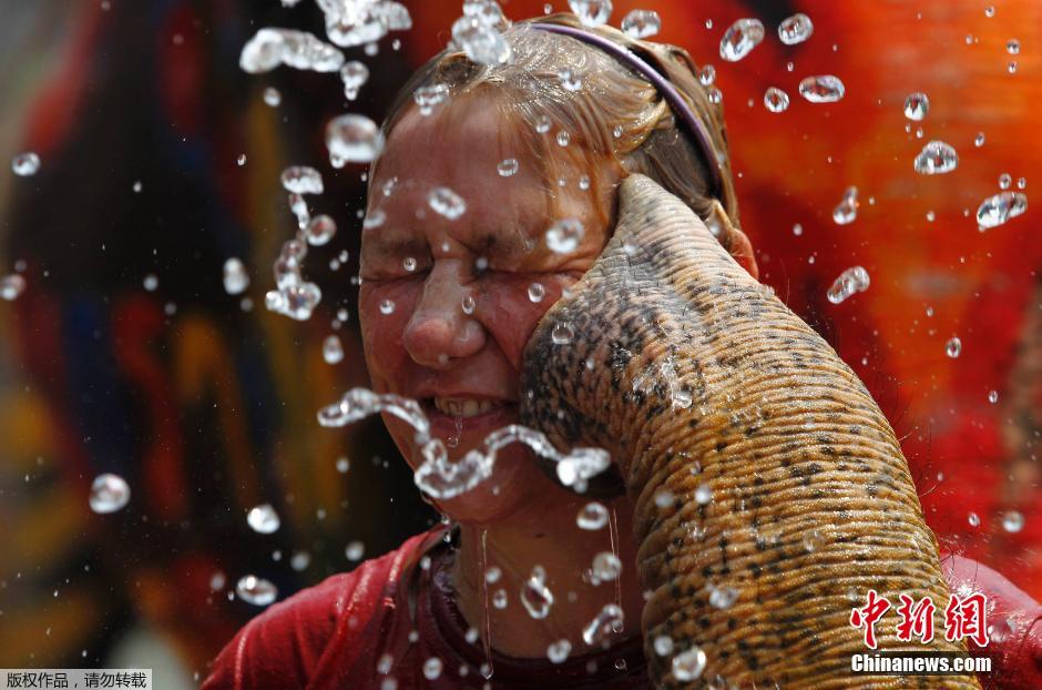 泰国民众迎接泼水节 大象长鼻秒变“水枪”