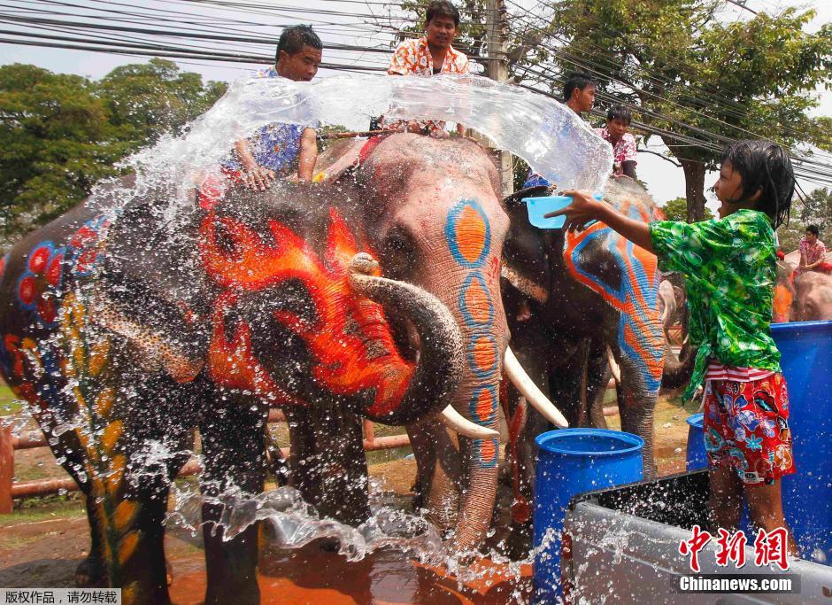 泰国民众迎接泼水节 大象长鼻秒变“水枪”