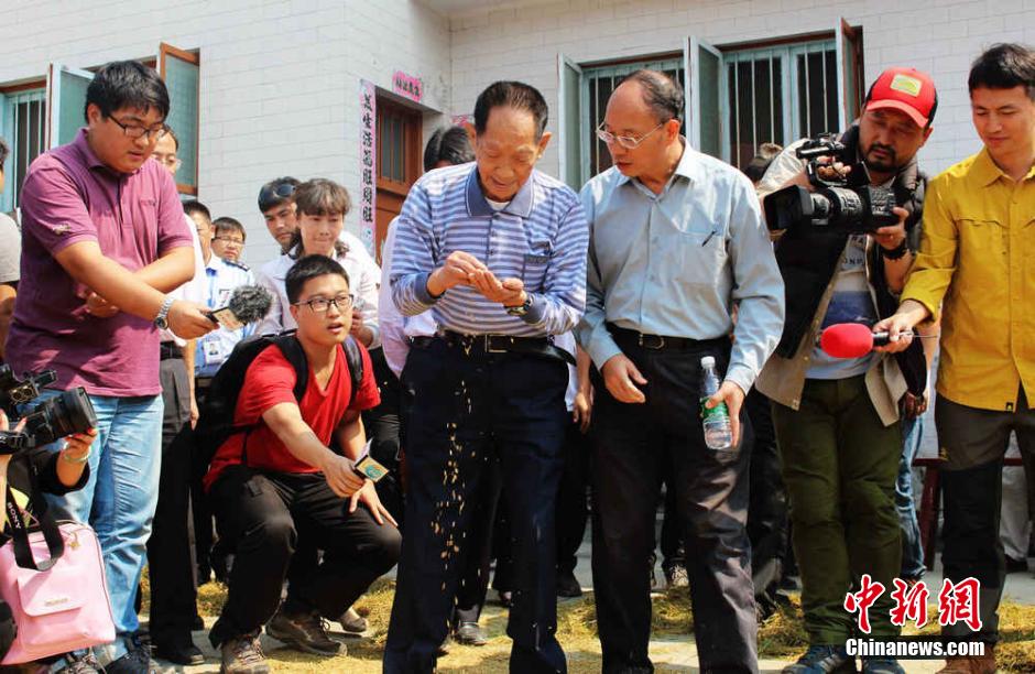 中国超级稻四期亩产突破1000公斤 再创世界纪录