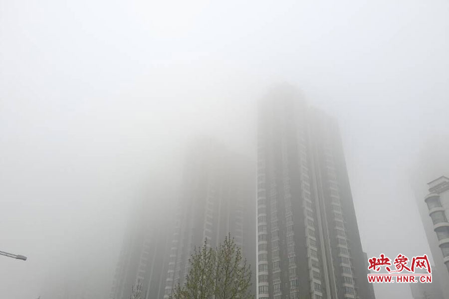 郑州现大雾天气，宛若仙境