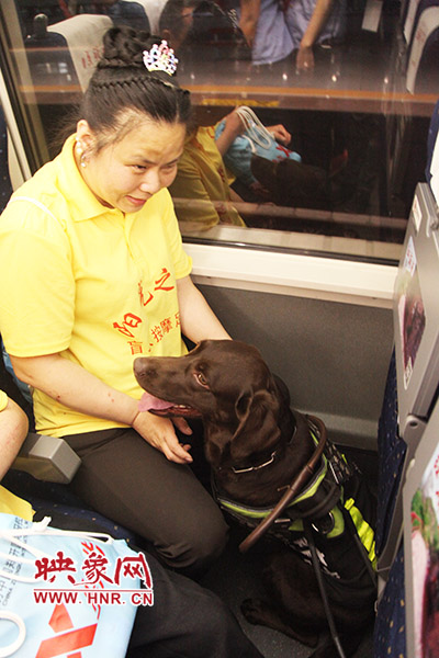 王蕾将带盲犬带到高铁上