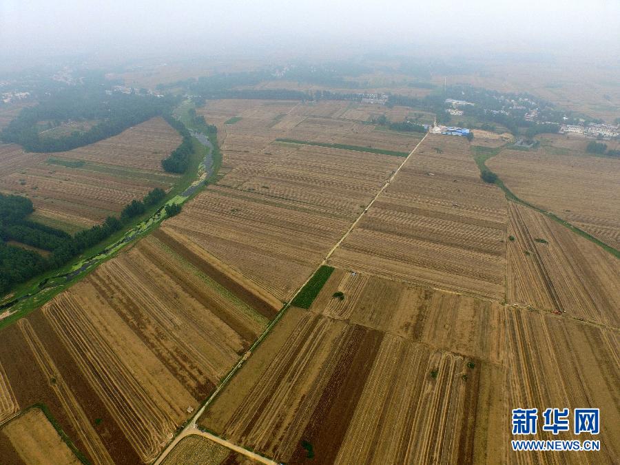这是5月28日在河南省南阳市唐河县甘河湾村航拍的麦收现场。