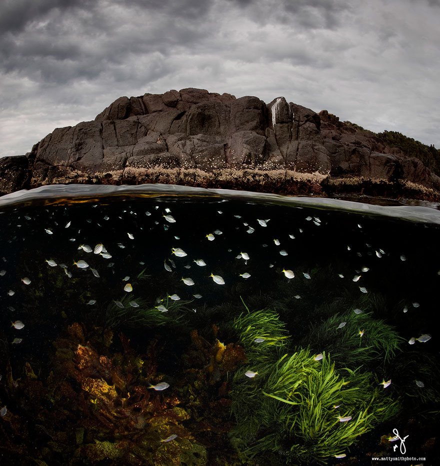 摄影师记录水波下的世界