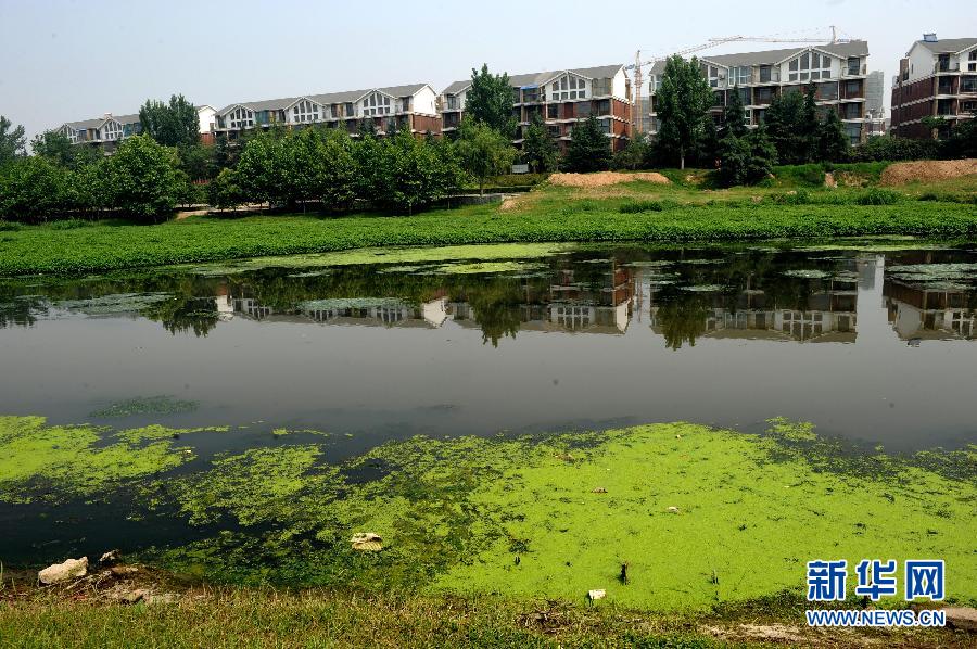 郑州西流湖生态水系遭破坏
