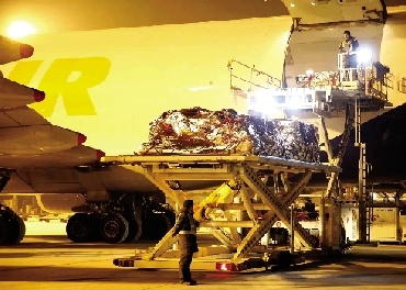 装载88.3吨澳大利亚冰鲜牛肉的澳洲航空公司包机抵达郑州新郑国际机场