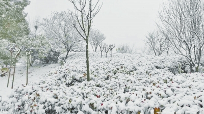 河南多地迎来今年首场降雪 部分地区今日雪停