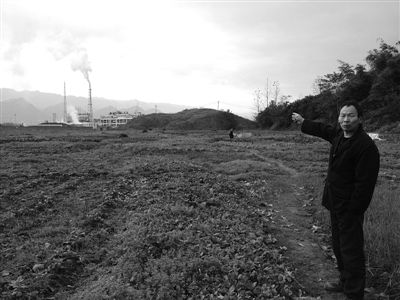 昨天下午，澄溪镇村民任树明站在撂荒多年的土地上，向记者指着不远处化工厂的烟雾。
