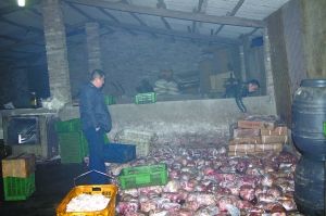  警方现场查获的大量病死猪肉及“问题”腌腊制品。 沙区警方供图