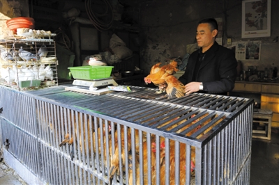 南京另一家农贸市场内待售的活鸡。因南京出现H7N9禽流病例，买活鸡的顾客减少。