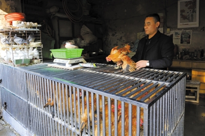 南京另一家农贸市场内待售的活鸡。因南京出现H7N9禽流病例，买活鸡的顾客减少。