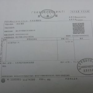 广东村官被曝率50人新马泰旅游 观真人性交表演