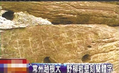 “常州赵根大” 2009年3月27日，台湾北海岸野柳地质公园岩壁上被刻下“中国常州赵根大”字样。台湾媒体将此事报道后，赵根大公开道歉。