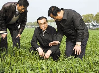 3月28日,李克强在江苏省常熟市田娘家庭农场察看麦苗长势。