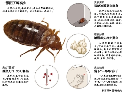 铁路部门回应京沪高铁现臭虫