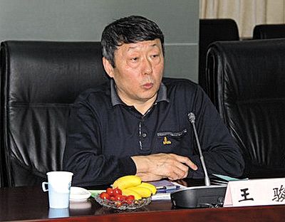 国家能源局新能源和可再生能源司司长王骏。