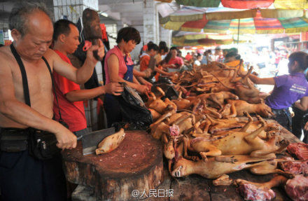 玉林狗肉节。