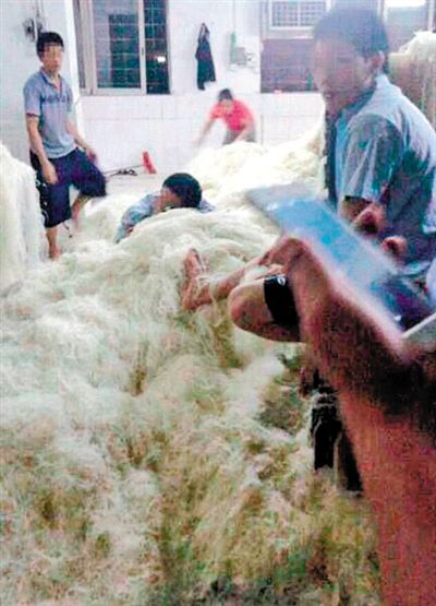 近日,东莞一米粉厂被曝车间工人赤脚踩着米粉,甚至在米粉堆上睡觉。目前该厂停业整顿。