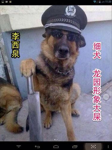 “超级低俗屠夫”造谣被拘 曾称庆安死者系上访