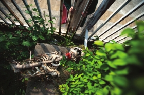 11月12日，开福区洪山路附近，一具人体骨架标本躺在草丛中，行人隔着护栏围观。